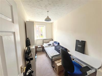 Picture 7